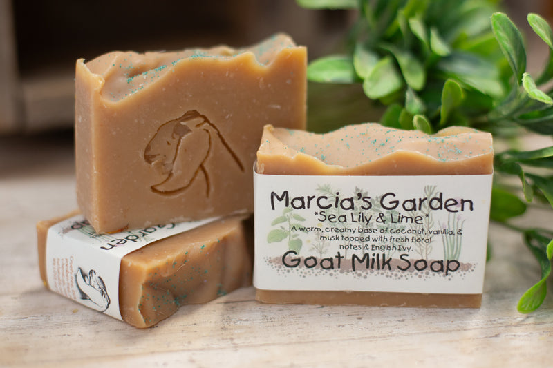 Sea Lily & Lime Goat Milk Soap