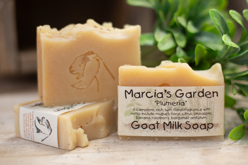 Plumeria Goat Milk Soap