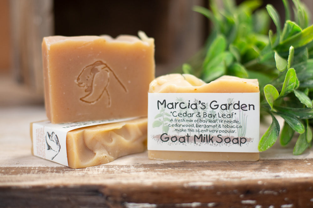 Cedar & Bay Leaf Goat Milk Soap