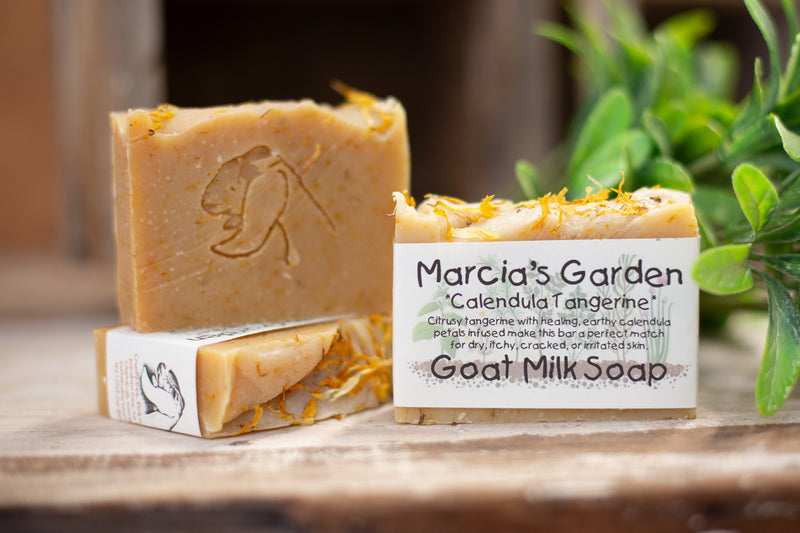 Calendula Tangerine Goat Milk Soap