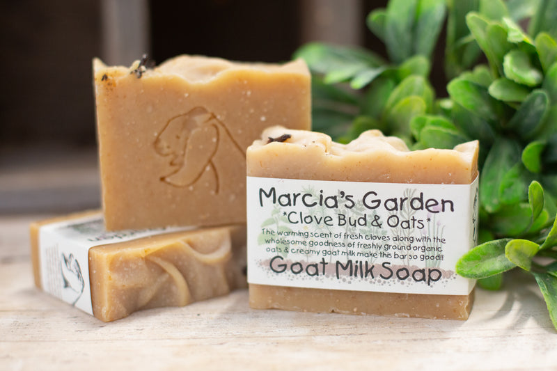 Clove Bud & Oats Goat Milk Soap